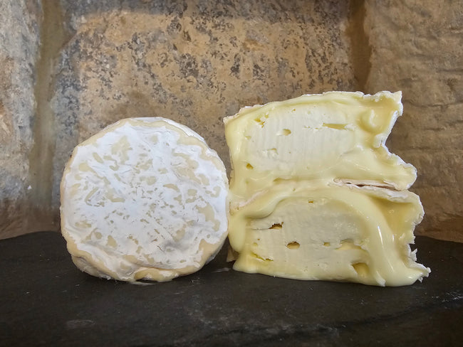 Burfodian Brie